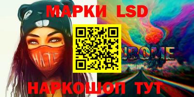 гидра Будённовск