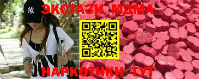 гидра Будённовск