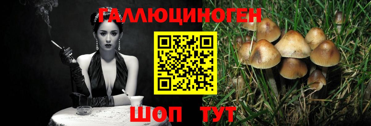 где можно купить наркотик  Псилоцибиновые грибы мухоморы  Вход с VPN  Туапсе 